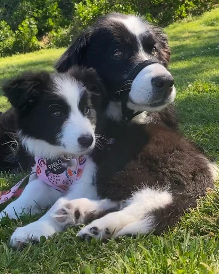 Zuri and Jack