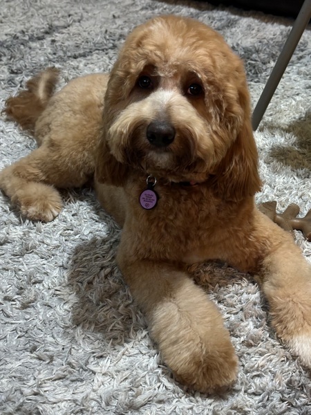 Rosie
