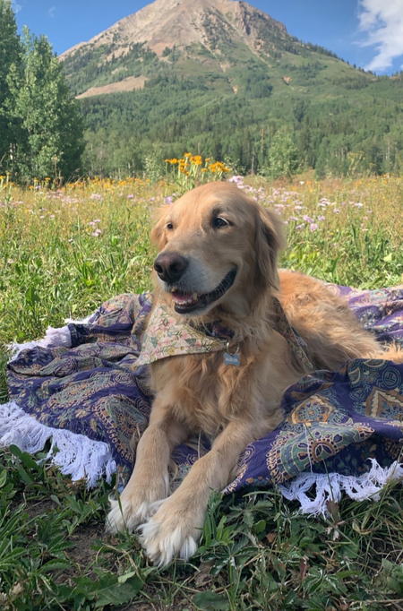 Riley