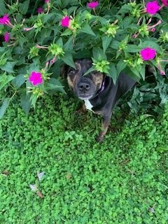 Ruby