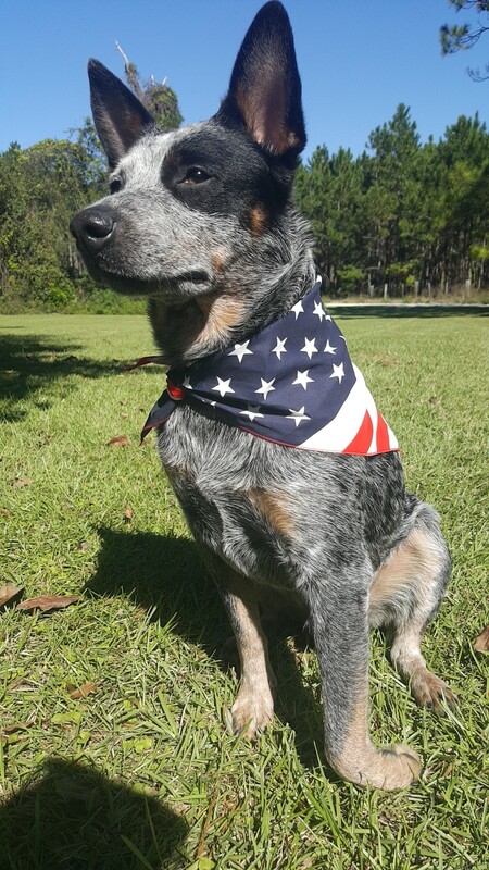 Waylon
