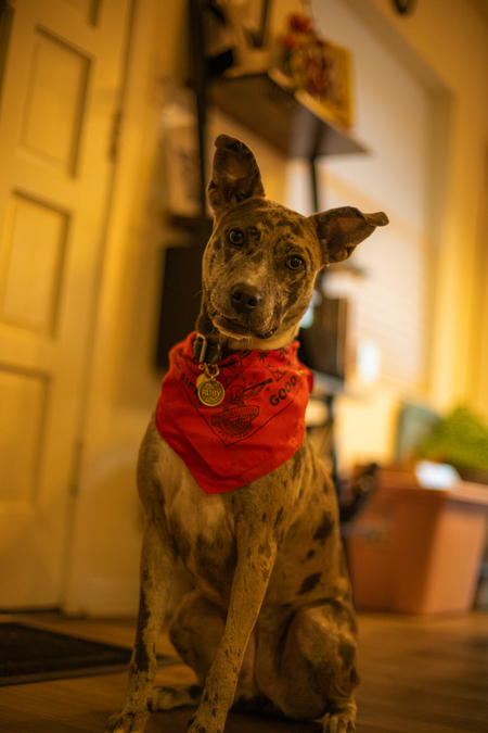Ruby