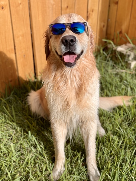 Duke