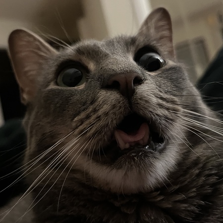 Marcel