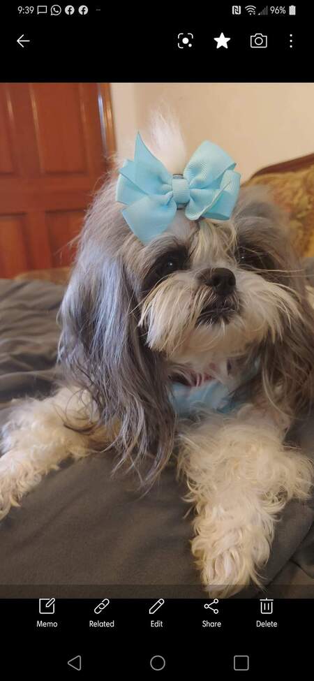 Molly