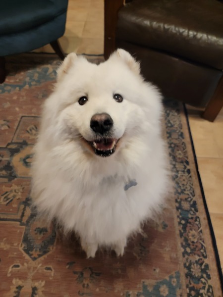 Sami