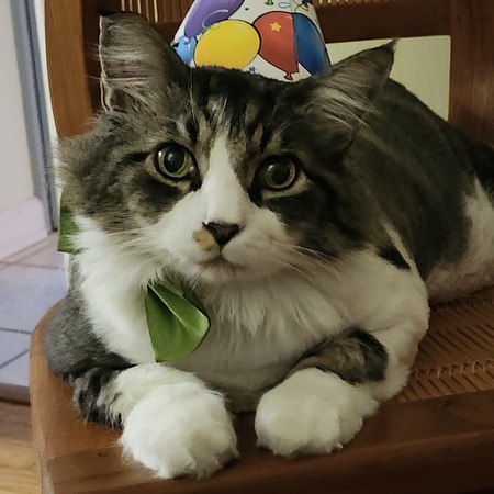 Mr. Biggs