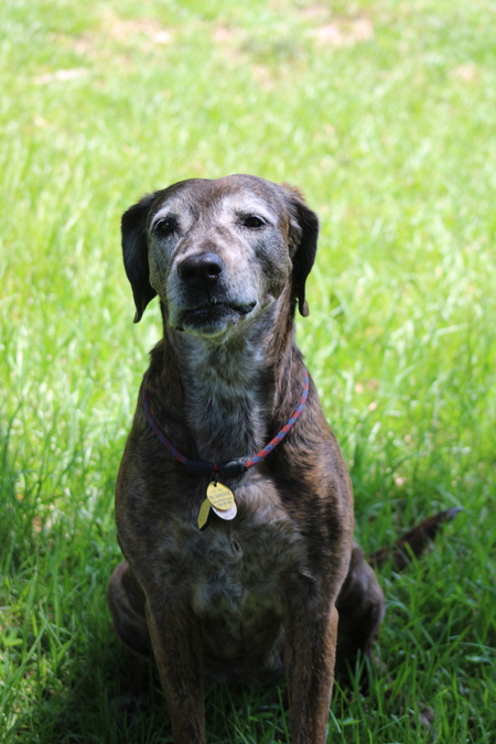 Maggie