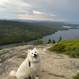 Entry image for Captain Ravioli