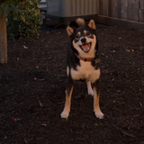 Entry image for Islay