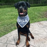 Entry image for Jameson