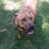 Entry image for Early