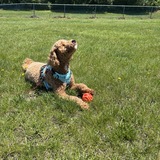 Entry image for Sully