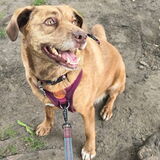 Entry image for Chloe