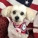 Entry image for Ralphy