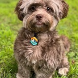 Entry image for Maisie May