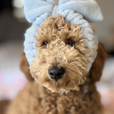 Entry image for Barkley 