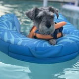 Entry image for Bean