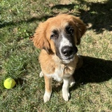 Entry image for Benson