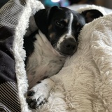 Entry image for Maggie