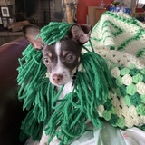 Entry image for Trixie