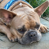 Entry image for Tonka