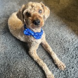 Entry image for Liam