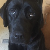 Entry image for August