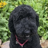 Entry image for Smuckers