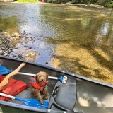 Entry image for Stella 