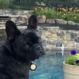 Entry image for Lussa