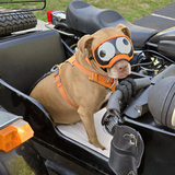 Entry image for Mork