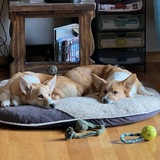 Entry image for Bazz & Bourbon 