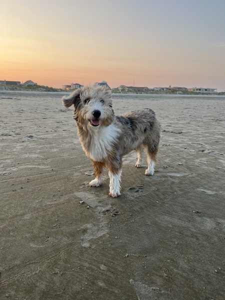 Patch