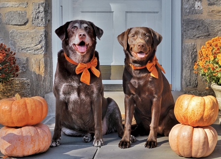 Maddie (right)