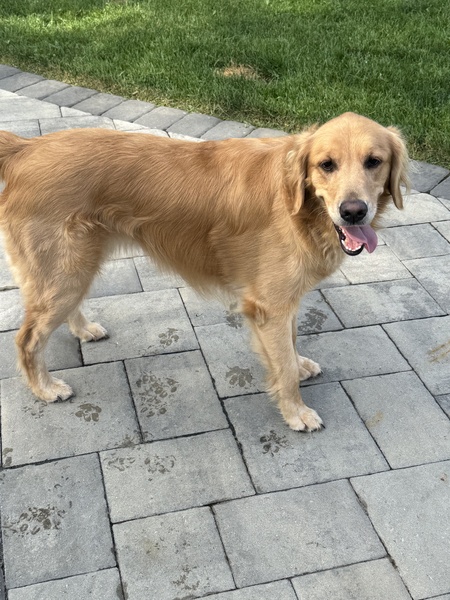 Molly