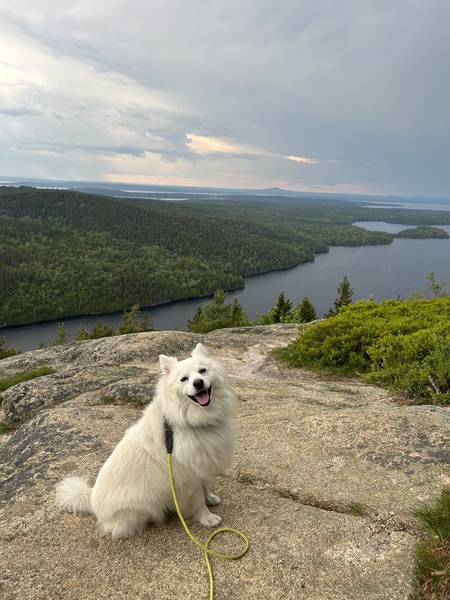 Entry image for Captain Ravioli. Clicking this image will show a larger photo