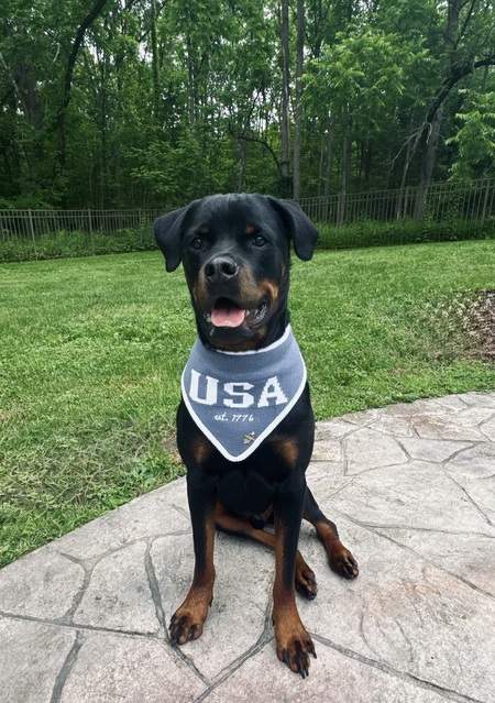 Entry image for Jameson. Clicking this image will show a larger photo