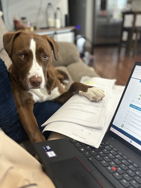 Entry image for Charlie. Clicking this image will show a larger photo