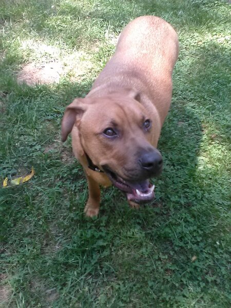 Entry image for Early. Clicking this image will show a larger photo