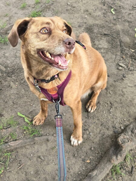 Entry image for Chloe. Clicking this image will show a larger photo