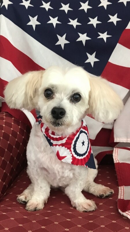 Entry image for Ralphy. Clicking this image will show a larger photo