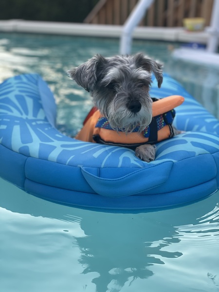 Entry image for Bean. Clicking this image will show a larger photo