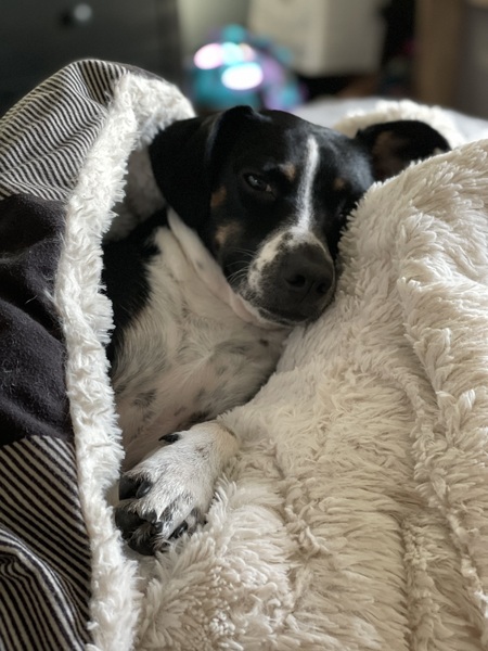 Entry image for Maggie. Clicking this image will show a larger photo