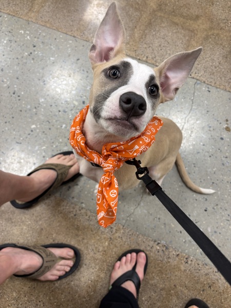 Entry image for Zoe. Clicking this image will show a larger photo