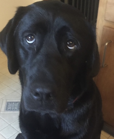 Entry image for August. Clicking this image will show a larger photo