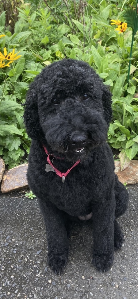 Entry image for Smuckers. Clicking this image will show a larger photo