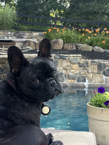 Entry image for Lussa. Clicking this image will show a larger photo