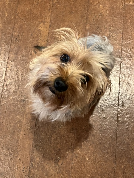 Entry image for Nelson. Clicking this image will show a larger photo