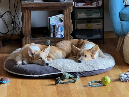 Entry image for Bazz & Bourbon . Clicking this image will show a larger photo